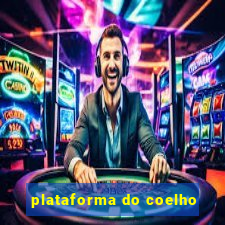 plataforma do coelho